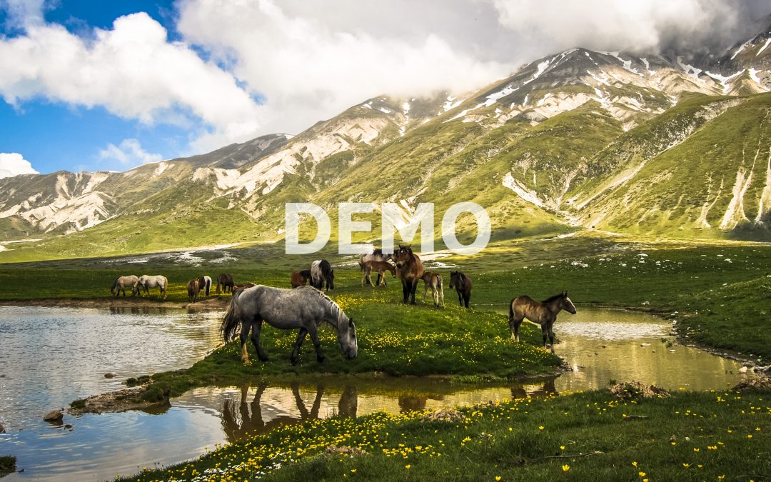 Cammino della Musica (DEMO)